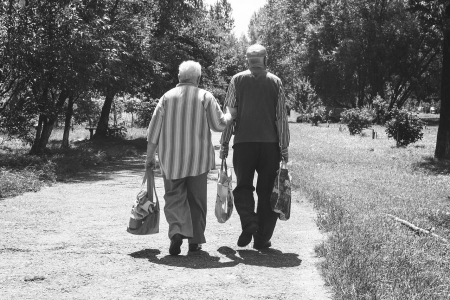 longevity definition
